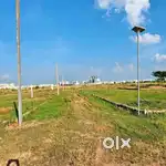Menroad40foot.subroad30foot.plantation.solar light.electri