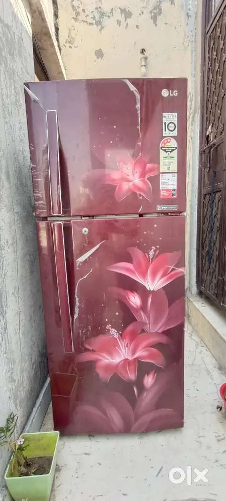 LG Fridge 250 L