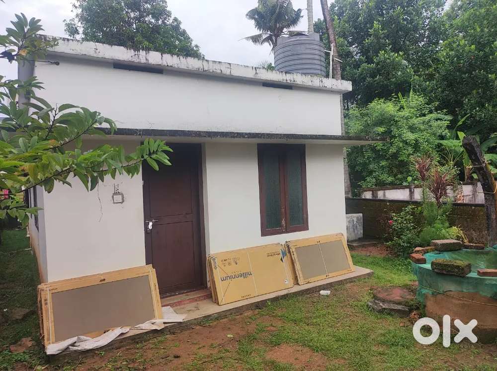 Aluva kadungalloor house for rent