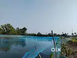 12 acres fish farm