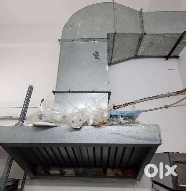 Commercial Grade Chimney with 2 Fans and 40 ft duct