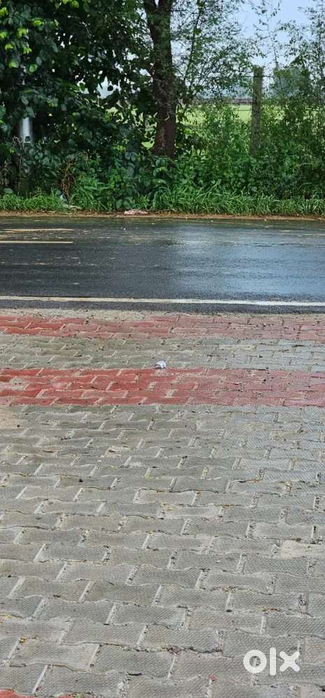 बहुत ही सस्ते प्लॉट दोबारा मौका नहीं मिलेगा