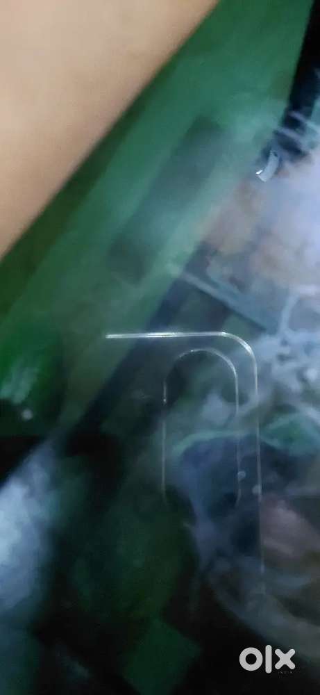 Need data controller female candidates