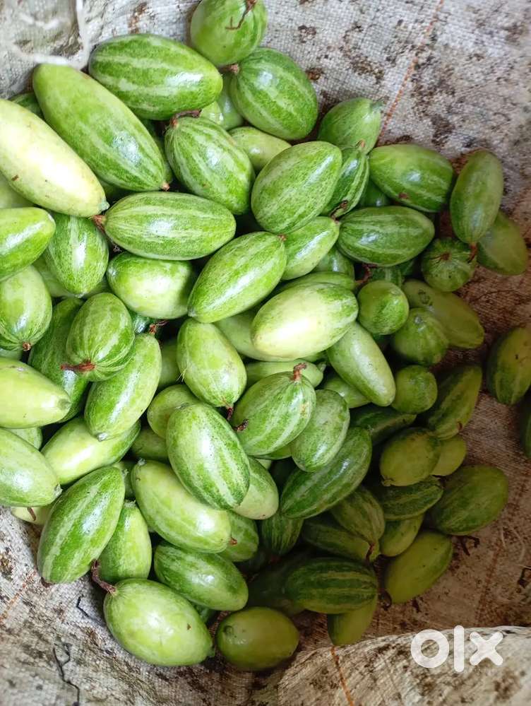 শিমুরালি জমি
