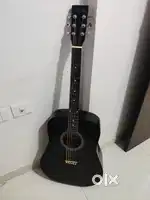 Acoustic Guitar brand new