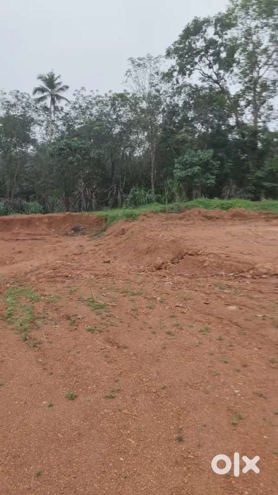 Muvattupuzha kalloorkad 1 acre 17 CENT for sale