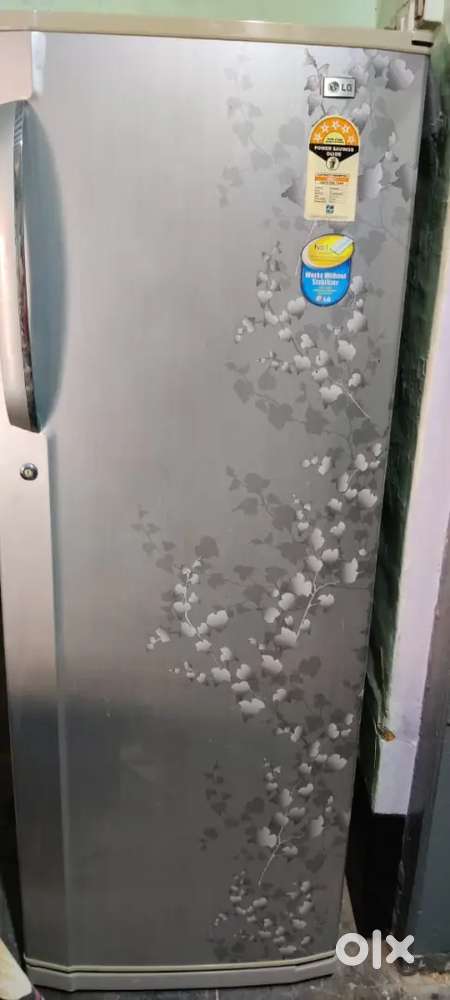 Lg Big Fridge