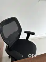 Need office work girls staff only