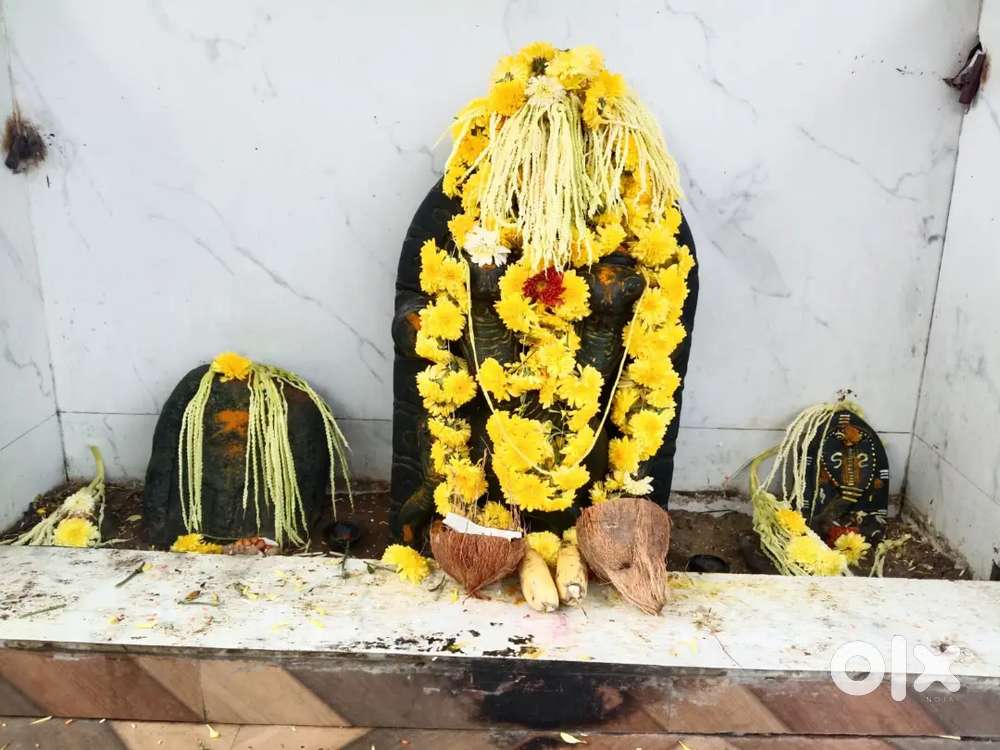 Agricultural land for sale