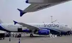 FULL TIME JOB IN INDIGO AIRLINES NEAR BY AIRPORT JOBS FRESHER ARE WELC