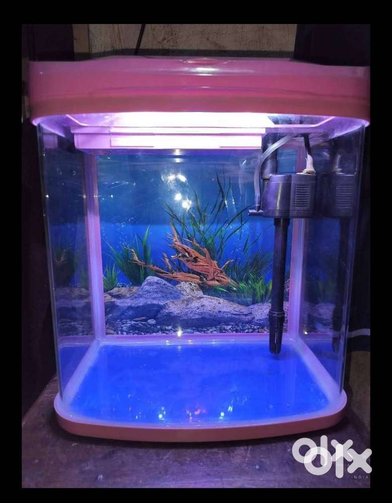 Aquarium sell karna hai
