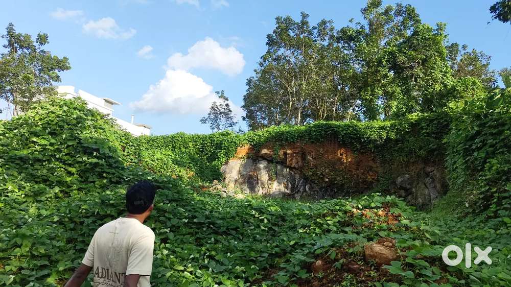 10 cent Plot for sale in erumely nerchapara