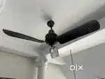 Vintage / Antique Fan