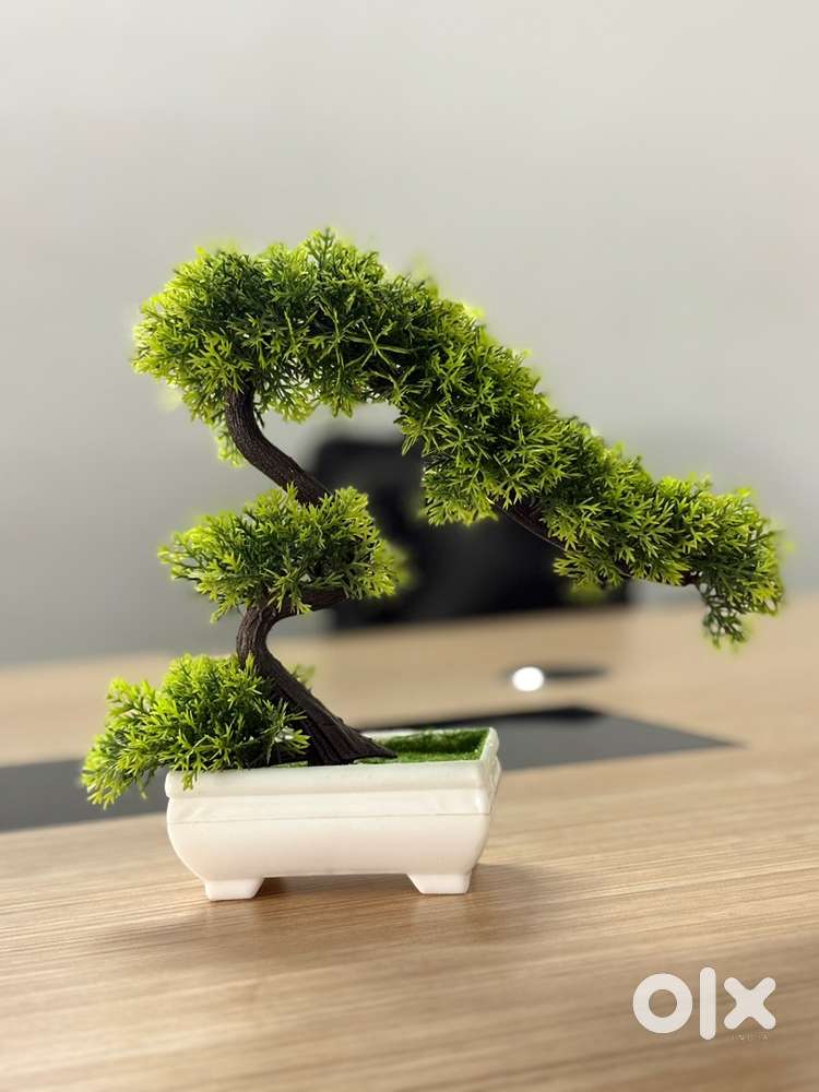 Relationship officer