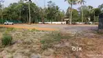 മുഹമ്മയിൽ വെള്ളം കയറാത്ത ടിപ്പർ ലോറി കയറുന്ന 14 സെൻറ് പ്ലോട്ട്ആയും