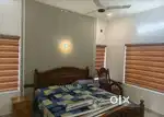 Zebra blind curtain