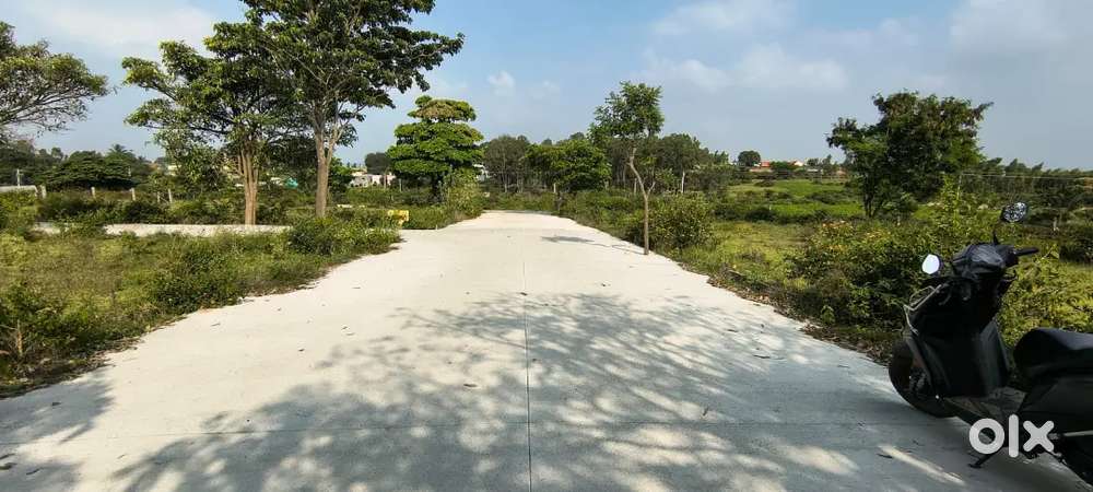 Budget friendly plots with all approval