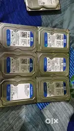 1 TB HDD  × 5 Western Digital Good condition