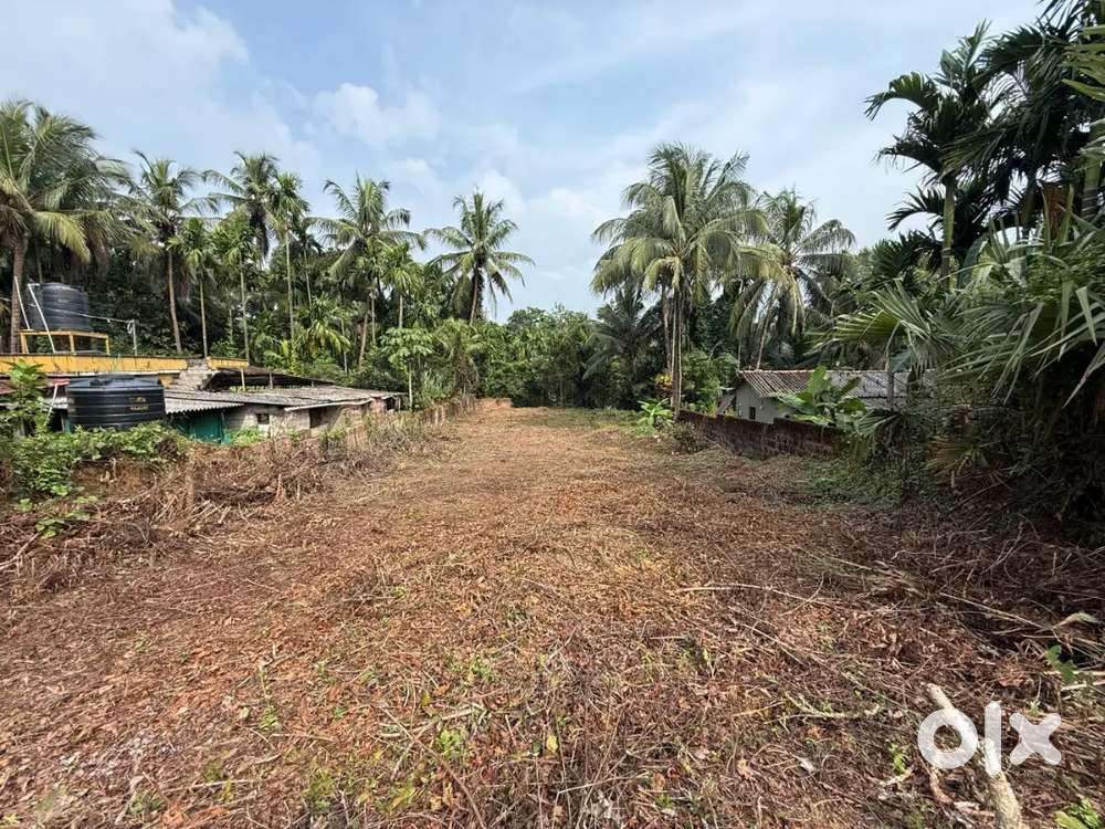 13 cents Converted land for sale in panemangalore(shediguri bondela)