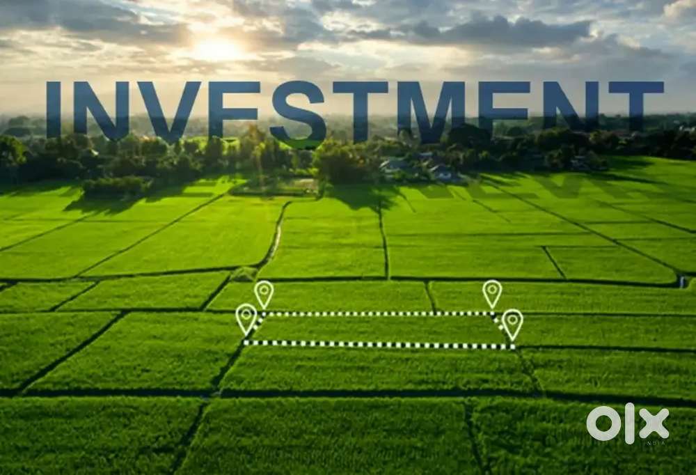 Land for sale 20 biswa