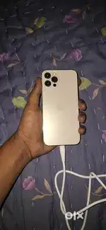 Iphone 12 pro gold colour