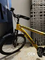 Jetbird discbreak bicycle