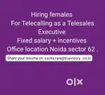 REALESTATE TELESALES EXECUTIVE