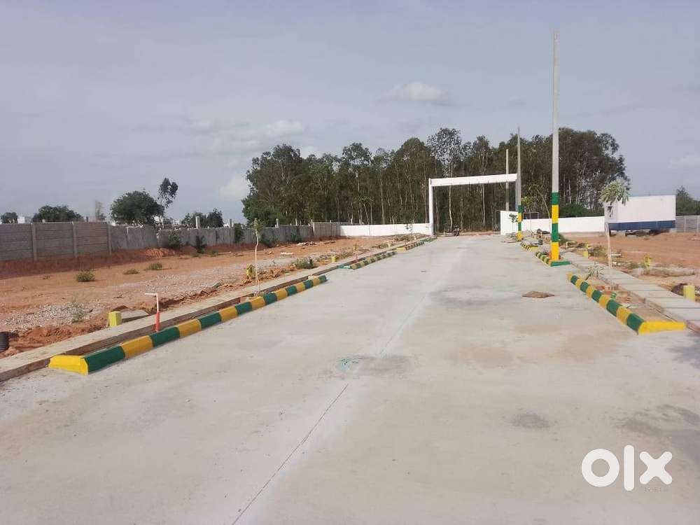 Clear title property