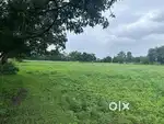 45 Acres land available for outrate at Talogh Shivar igatpuri for 86 l