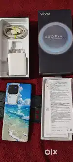 Vivo v30pro 8gb 256gb full kit back door creak only don't ask silly