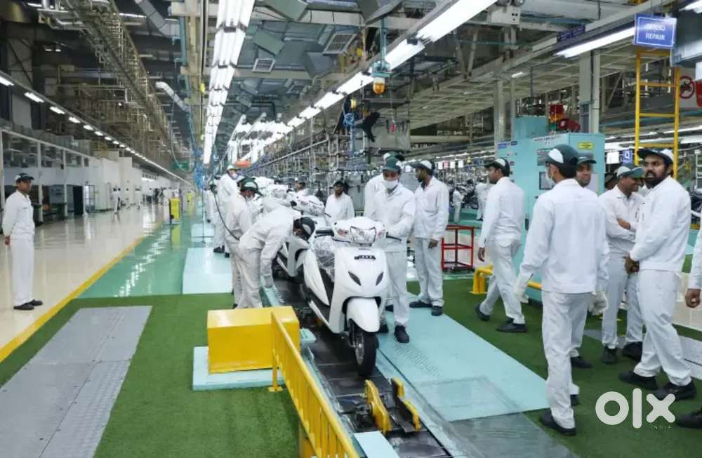 Were hiring freshers for job