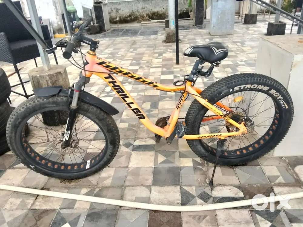 Thriller fat tire cycle