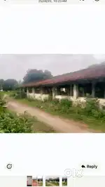 Dairy for rent in rajim panduka 300 cows capacity and 1 acre of land