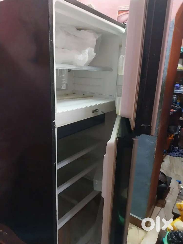 Fridge for big size