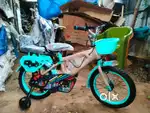 Mr .cycle you can buy a genuine. With hybrid cycles with lowest price