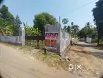 9 Cent Aluva UC college House Plot. Tar Road Frontage.