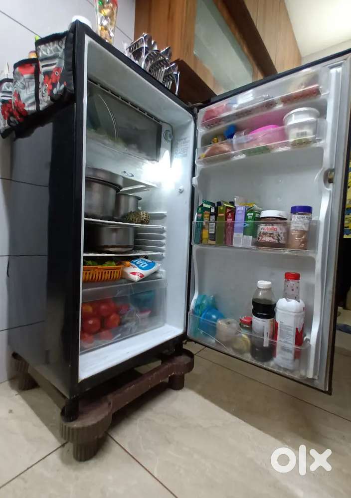 ફીઝ કેલવીનેટર