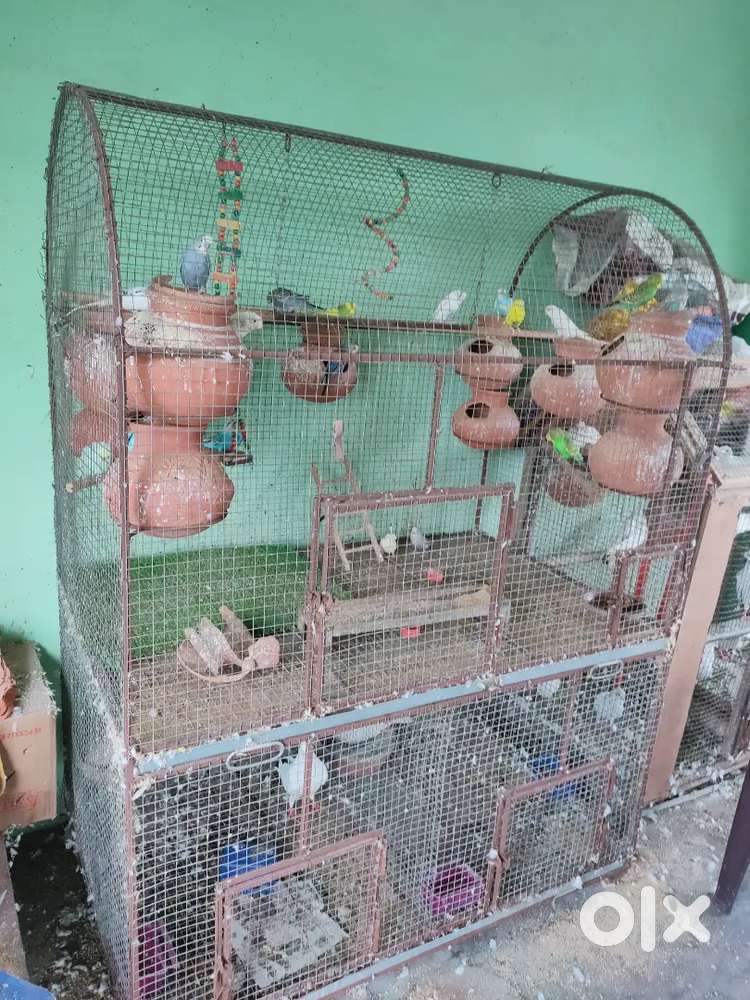 Pet cage with three partition