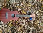Cute Ukulele
