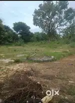 Plot for any purpose (rental)
