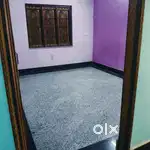 V mat patia
