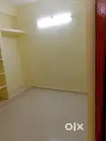 Roommate needed