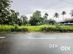 10 cent commercial land for sale Kakkanad