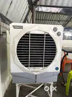 Cooler jumbo