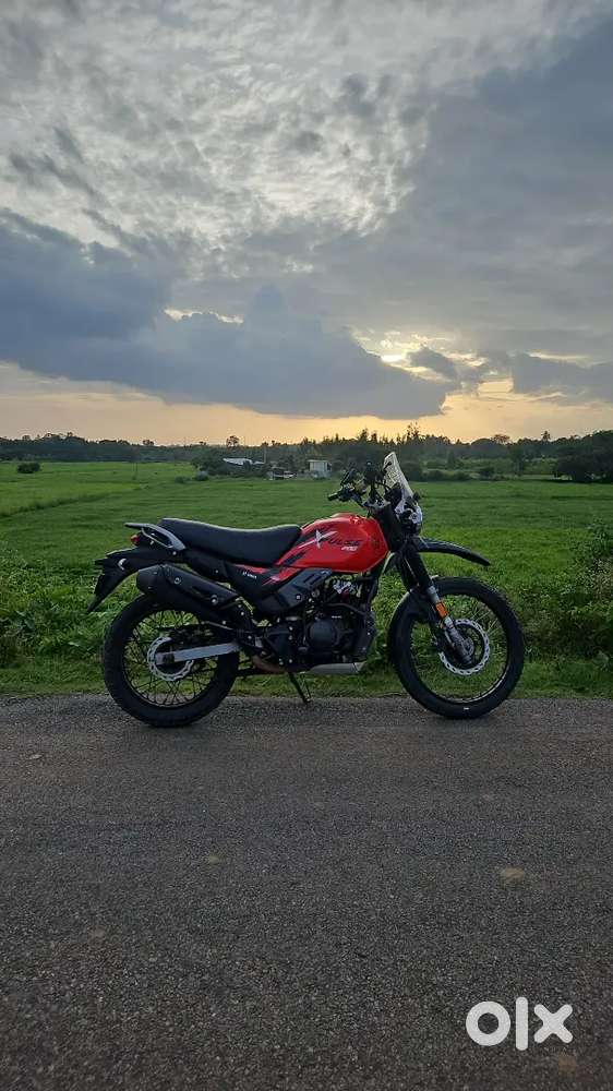 crash guard and handlebar installed