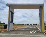 DTCP Approved Land
