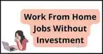 Work from home female job
