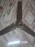 (Polar) ceiling fan 48 inches