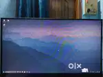 Video Editor for hire