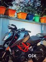 Duke 390 Bs6